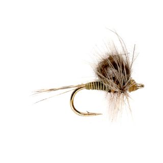 Cdc Loopwing Quill Emerger, Blue Wing Olive, 18