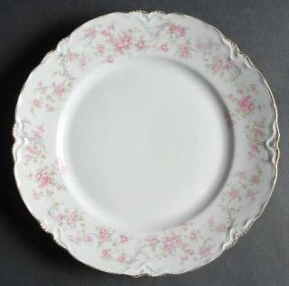 Hutschenreuther Richelieu Dinner Plate, Fine China Dinnerware   Racine,Pink Flow