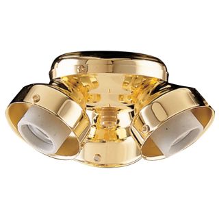 Three Light Turtle Polished Brass Light Kit