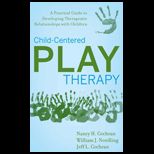 Child Centered Play Therapy