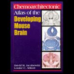 Chemoarchitectonic Atlas Mouse Brain
