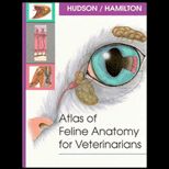 Atlas of Feline Anatomy for Veterinarians