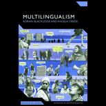 Multilingualism  A Critical Perspective