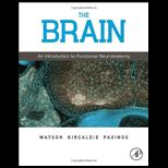 Brain Intro to Functional Neuroanatomy