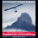 Financial Accounting   Working Papers On CD (Software)