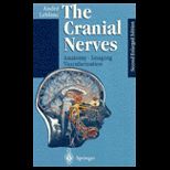Cranial Nerves  Anatomy, Imaging, Vascularisation