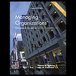 Managing Organizations  Principles and Guidelines