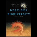 Deep Sea Biodiversity Pattern and Scale
