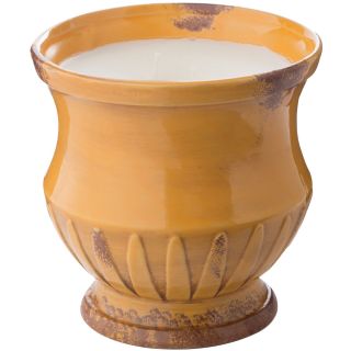 City Creek Candles Sugared Citrus 24 oz. Urn Candle, Gold