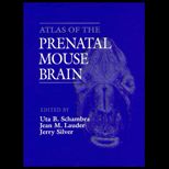 Atlas of the Prenatal Mouse Brain
