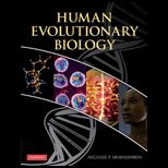 Human Evolutionary Biology