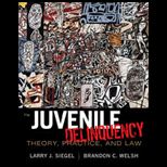 Juvenile Delinquency (Looseleaf)