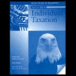 Individual Taxation, 2006 Edition   Study Guide