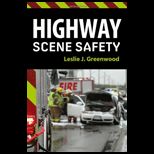 Highway Scene Safety