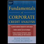 Standard and Poors Fundamentals of Corporate Analysis