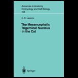 Mesencephalic Trigeminal Nucleus in Cat