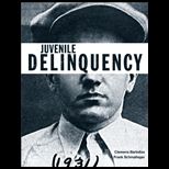 Juvenile Delinquency, Brief Edition