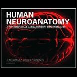 Human Neuroanatomy