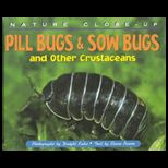 Nature Close up  Pill Bugs and Sow Bugs and Other Crustaceans