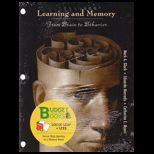 Learning and Memory (Custom)