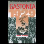 Gastonia 1929 The Story of the Loray Mill Strike