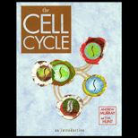 Cell Cycle  An Introduction