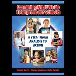 From Analysis to Action Examining the Work We Do to Improve Schools