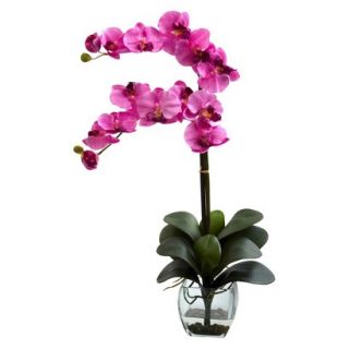 Double Stem Phalaenopsis Orchid in Glass Vase 27   Mauve