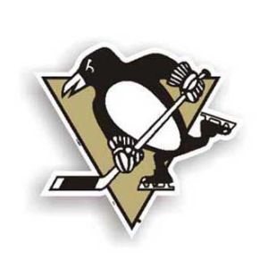 Pittsburgh Penguins 12in Car Magnet