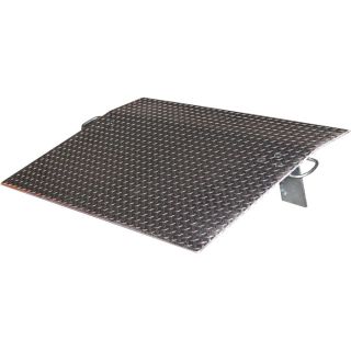 Vestil Economizer Dockplate   Aluminum, 2900 lb. Capacity, 60 Inch L x 48 Inch