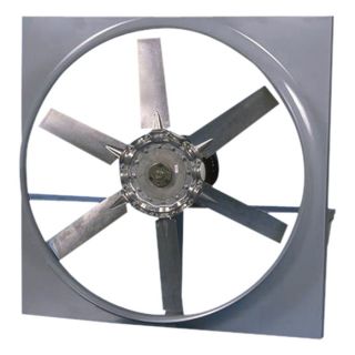 Canarm Direct Drive Wall Fan with Cabinet, Backguard and Shutter   36 Inch, 16,