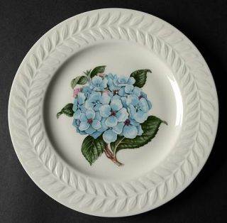 Haviland Regents Park Hydrangea Salad Plate, Fine China Dinnerware   New York,Em
