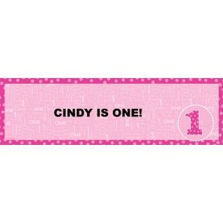 Everything One Girl Personalized Banner