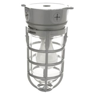 Designers Edge Weathertight Ceiling Mount Barn Light   120 Volt, Model L 1706