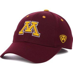 Minnesota Golden Gophers Top of the World NCAA Memory Fit Dynasty Fitted Hat