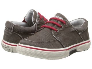 Sperry Top Sider Kids Voyager Boys Shoes (Brown)