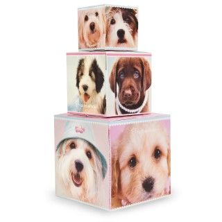 rachaelhale Glamour Dogs Building Blocks Centerpiece / Gift Boxes