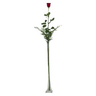 Fresh Cut 3.5 Foot Single Stem Red Rose with Clear Vase
