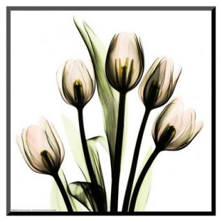 Art   Tulip Bouquet Mounted Print