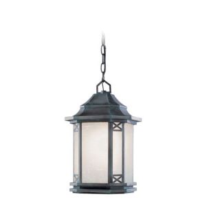 Tahoe 1 Light Outdoor Pendants/Chandeliers in Charcoal 2315 61