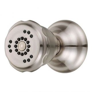 Danze® Two Function Wall Mount Body Spray   Brushed Nickel