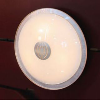 Opalika/Acrylic Medium Ceiling Light No. 3603