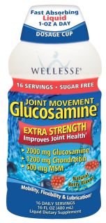 Wellesse   Joint Movement Glucosamine Fast Absorbing Liquid Natural Berry Flavor   16 oz.