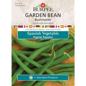 Burpee International Collection Spanish Vegetable Bean Bushmaster Seed 69647