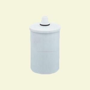 Paragon Water Systems Shower Filter Replacement Cartridge P2201RC