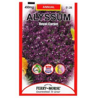 Ferry Morse Alyssum Royal Carpet Seed 8030