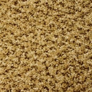 TrafficMASTER Fundamental Change   Color French Mountain 12 ft. Carpet H8145 215