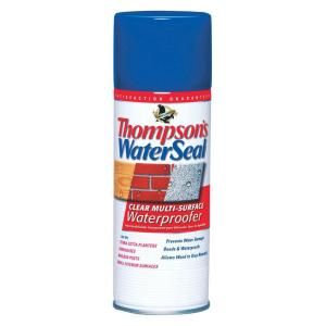 Thompsons WaterSeal 12 oz. Clear Multi Surface Waterproofer TH.010100 18