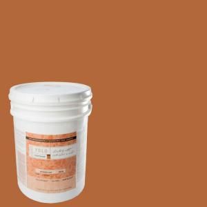 YOLO Colorhouse 5 gal. Wood .02 Flat Interior Paint 541620