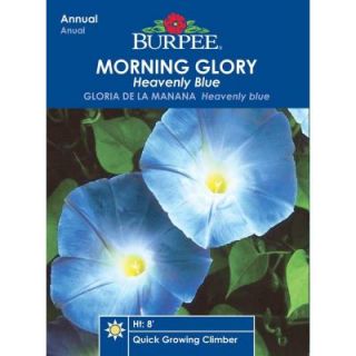 Burpee Morning Glory Heavenly Blue Seed 36767